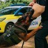 ZY-Z2002_zymiq_higiene_bucal_K9_accion